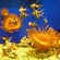 An aquarium tank with tropical fish and sea anemones